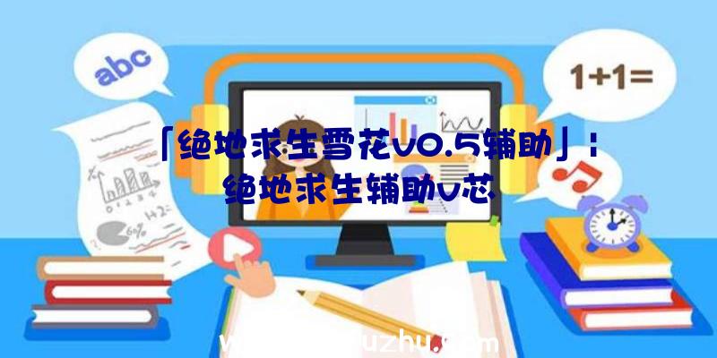 「绝地求生雪花v0.5辅助」|绝地求生辅助v芯